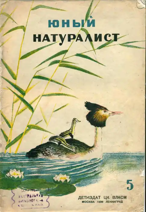 Обложка журнала Юный натуралист 1936 года